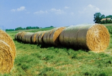 Продукти за защита и балиране на сено, слама и фураж